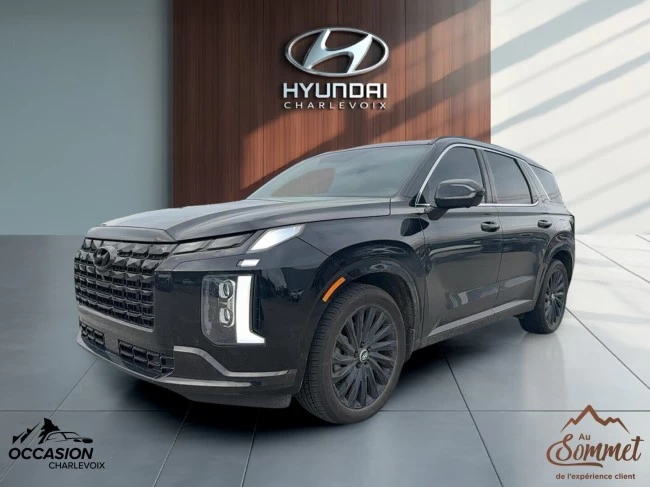 Hyundai Palisade - 2025