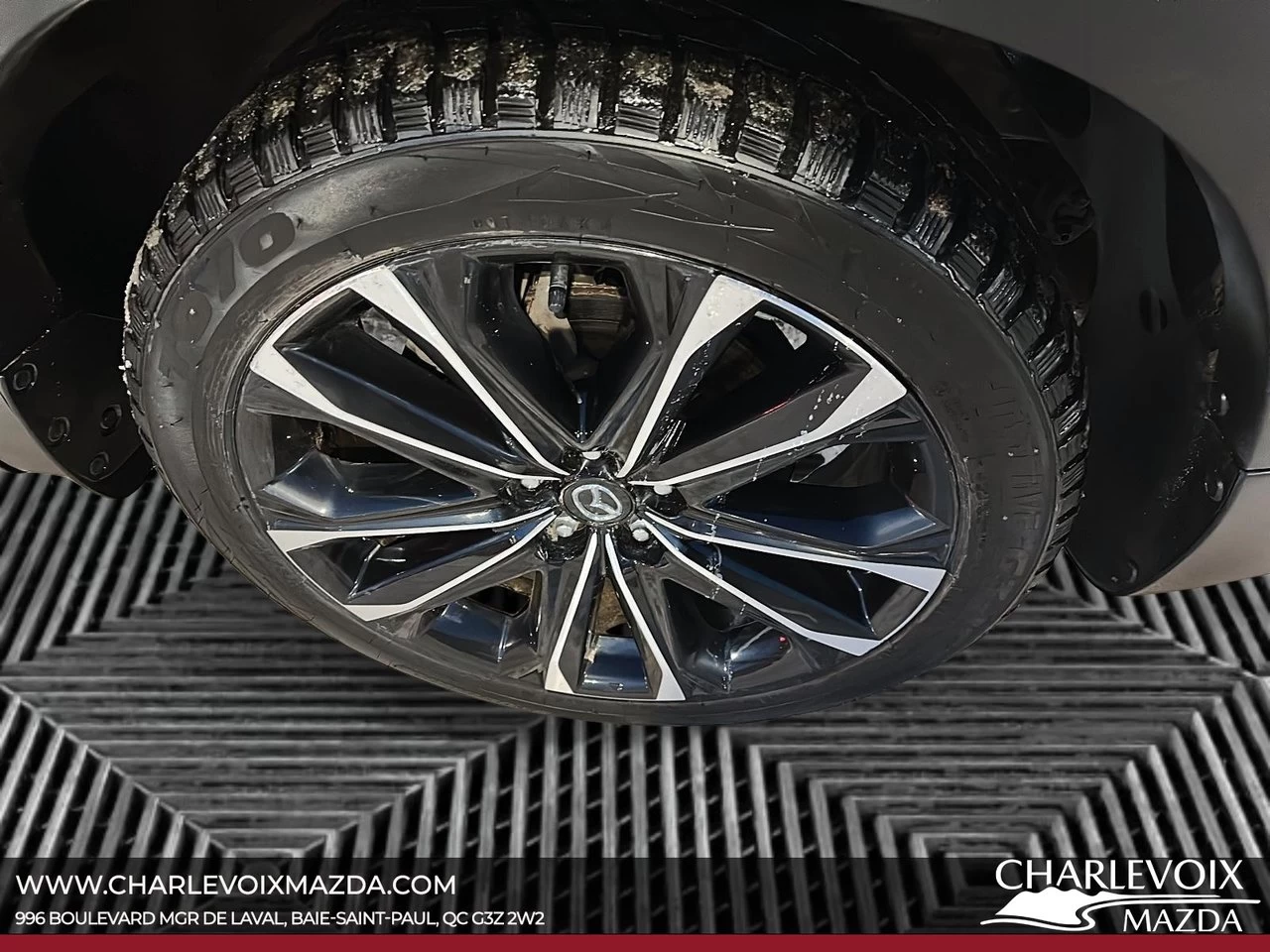2024 Mazda CX-50 Turbo Main Image