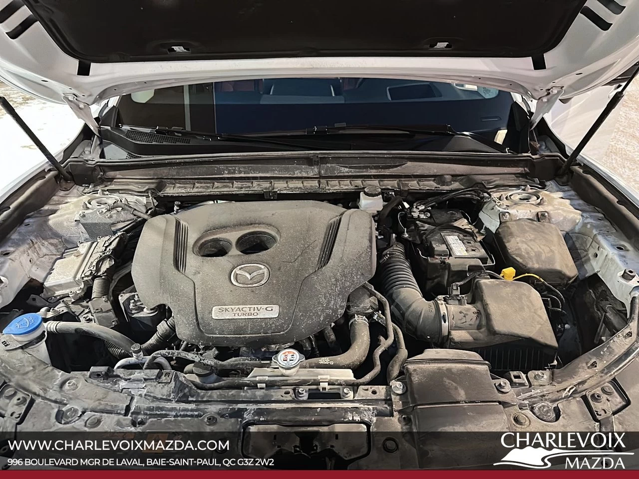 2024 Mazda CX-50 Turbo Main Image