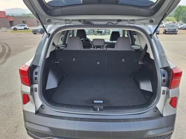 Kia Seltos LX AWD 2021