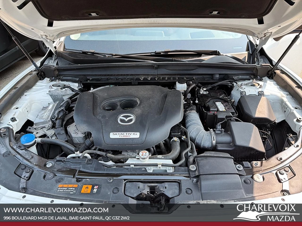 2024 Mazda CX-50 Turbo Main Image