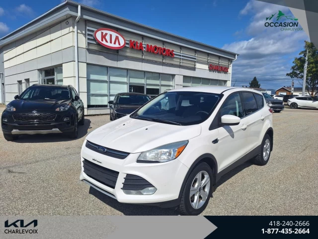 Ford Escape 4WD 4dr SE 2013